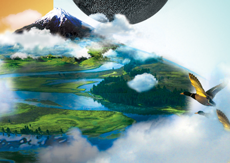 哪里买最便宜的网站攻击工具